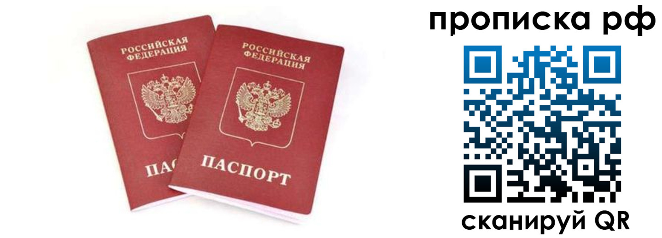 прописка поиск в Электрогорске