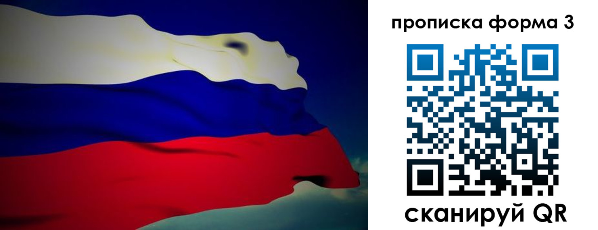 прописка 2025 в Электрогорске